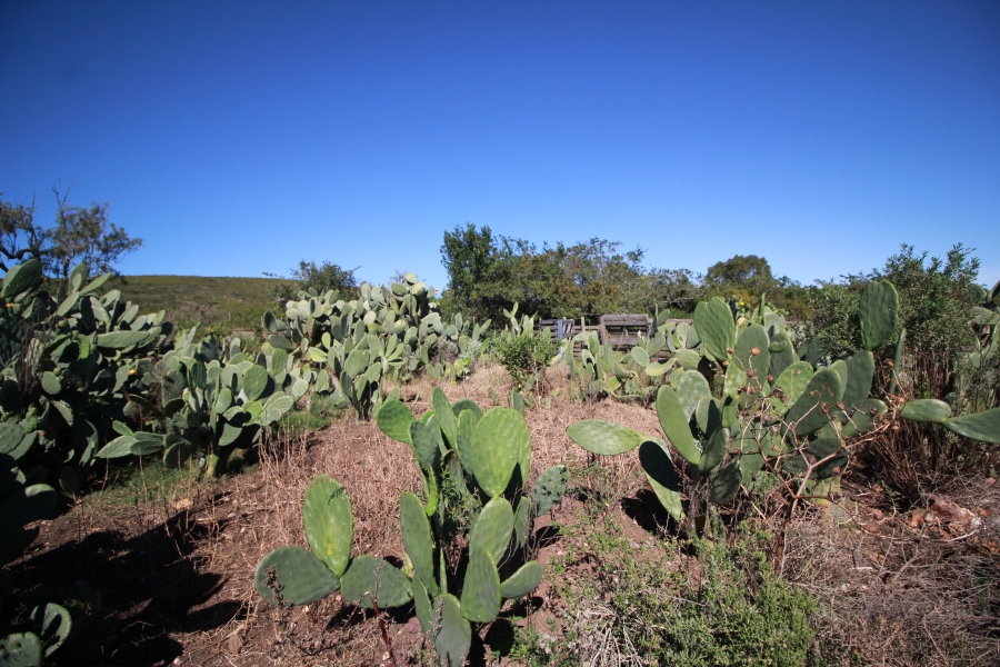 0 Bedroom Property for Sale in Mossel Bay Rural Western Cape